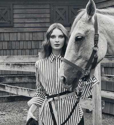 horses-in-my-dreams-6.jpg