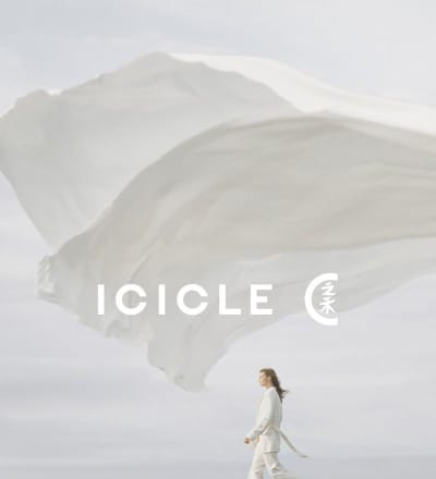 icicle-s-s-21-campaign-1.jpg