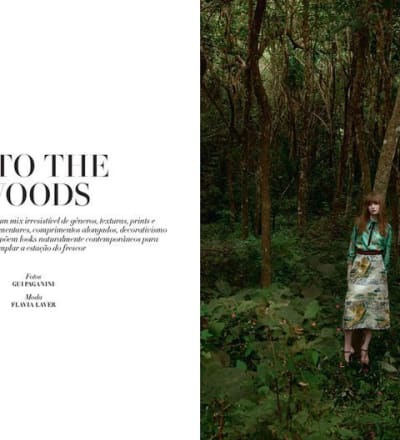 into-the-woods-1.jpg