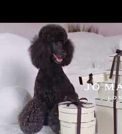jo-malone-snow-day-holiday-2022-6.jpg