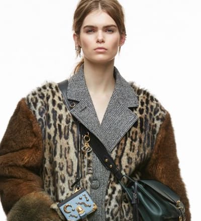leo-fur-olympia-1.jpg