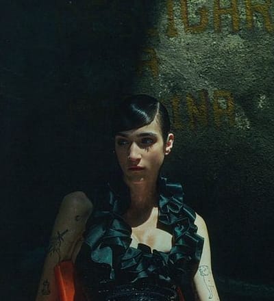 like-the-fellinis-lady-5.jpg