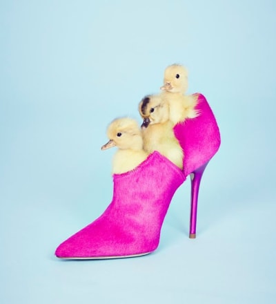 malone-souliers-ss15-7.jpg