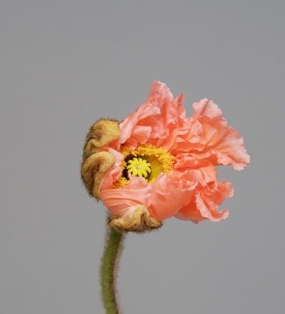 natures-palette-2.jpg