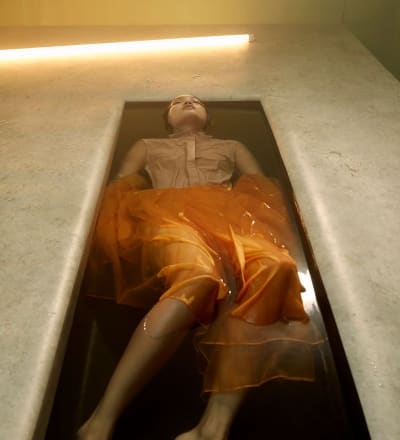 new-hallucinations-3.jpg