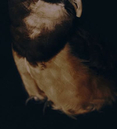 peep-peep-peep-5.jpg