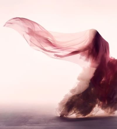 pink-medusa-3.jpg