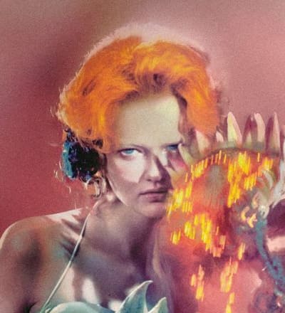 pollinate-11.jpg
