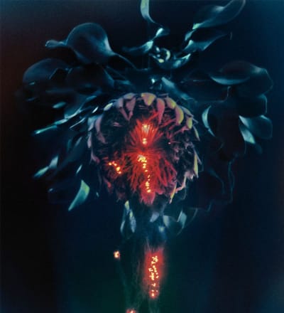 pollinate-12.jpg