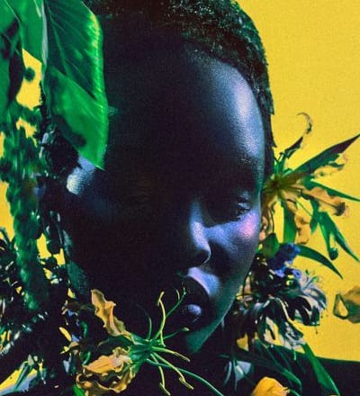 pollinate-14.jpg
