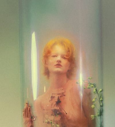 pollinate-2.jpg