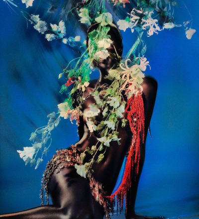 pollinate-9.jpg