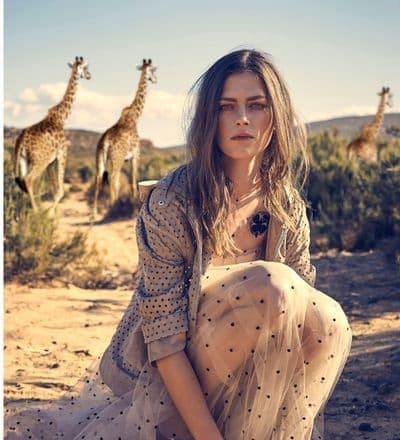 safari-2.jpg