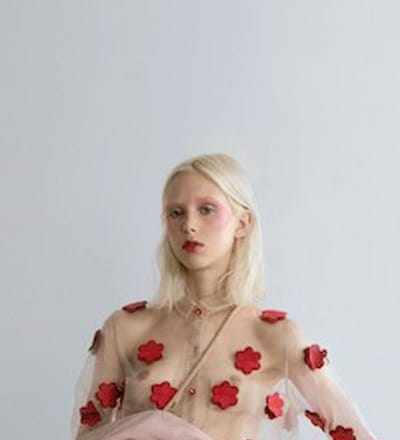 satellite-journal-daydreamer-2.jpg