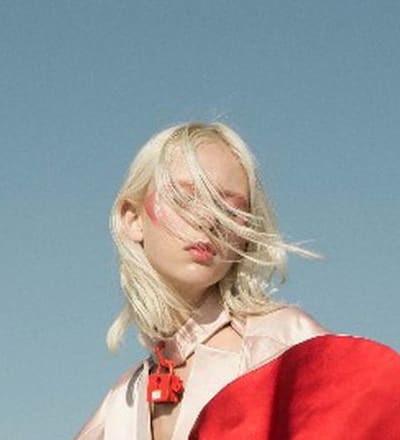 satellite-journal-daydreamer-9.jpg