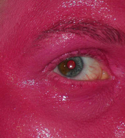 series-gloss-5.jpg