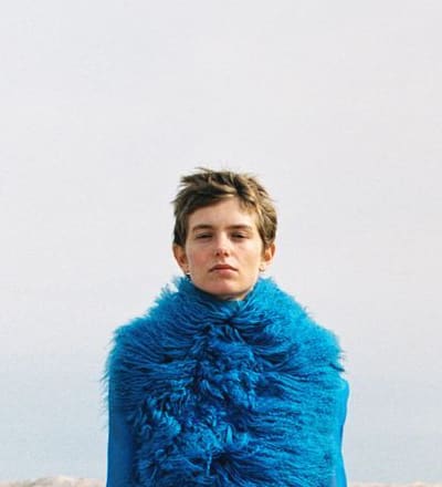 shear-genius-3.jpg