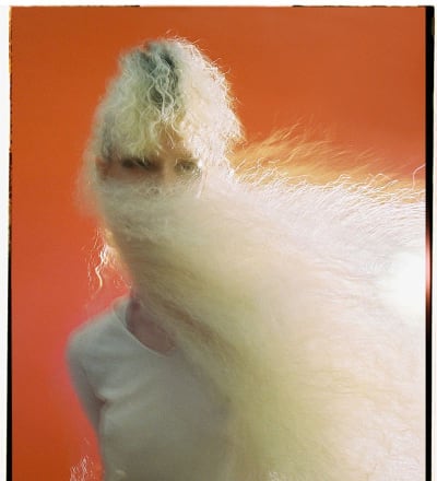 soft-punk-1.jpg