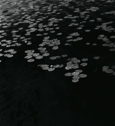 stockholm-new-book-2013-19.jpg
