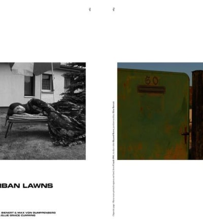 suburban-lawns-1.jpg