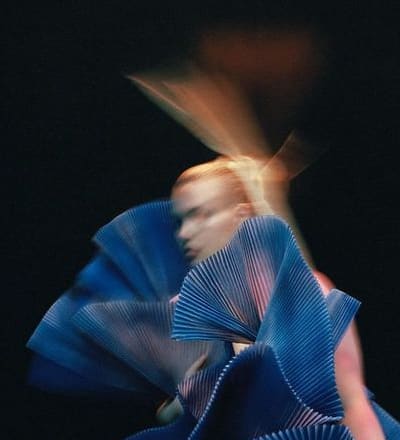 tangled-in-tulle-1.jpg
