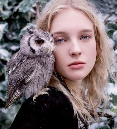 the-enchanted-forest-9.jpg