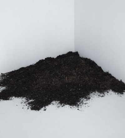 the-outsider-plant-3.jpg