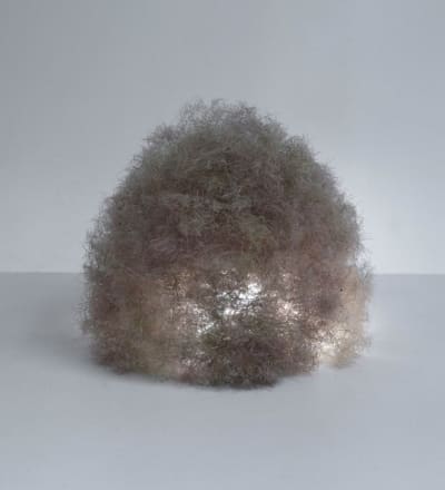 the-outsider-plant-6.jpg