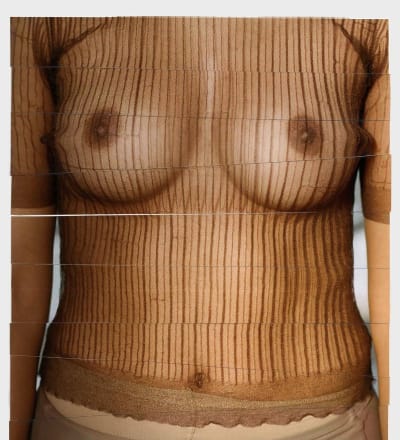 the-shape-of-my-body-9.jpg