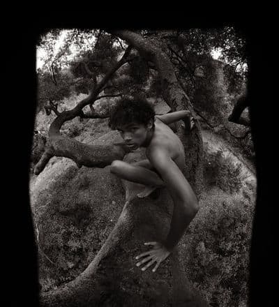 the-way-of-nature-1.jpg