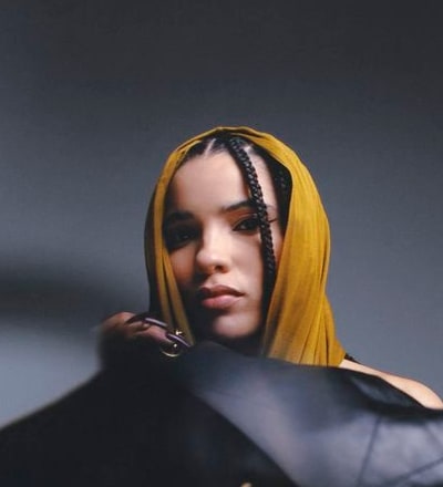 zoom-in-7.jpg