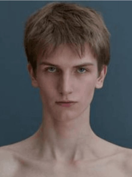Stan de Velde