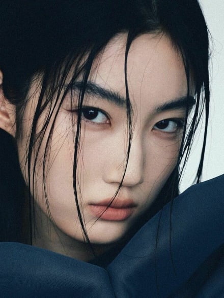 Xia Boyan