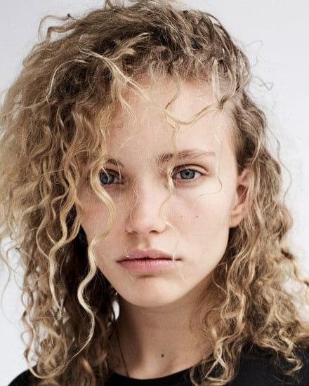 Kim van der Laan