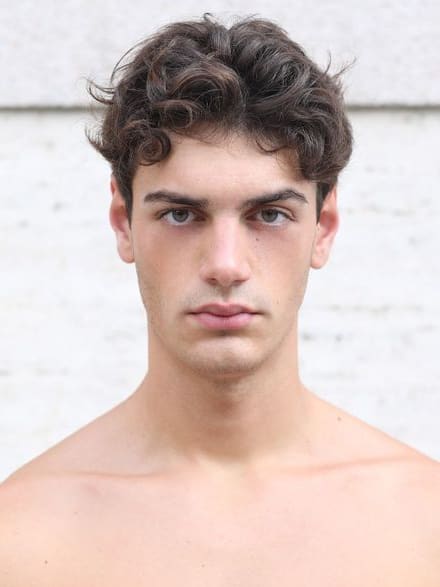 Ludovico Dinisi