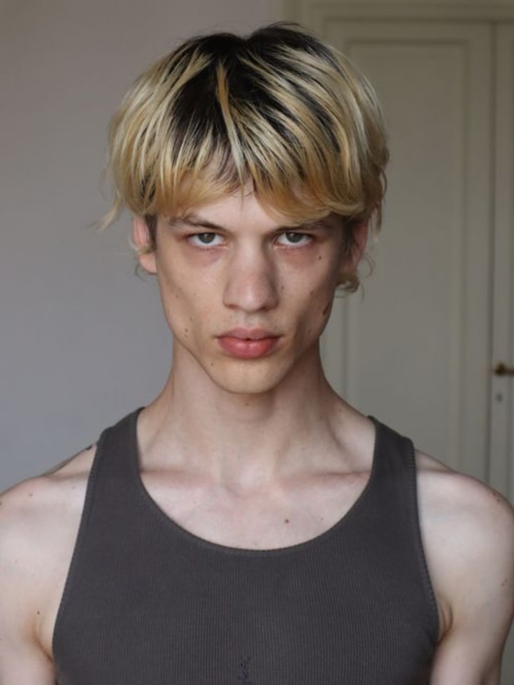 Lazar Dedic — portrait