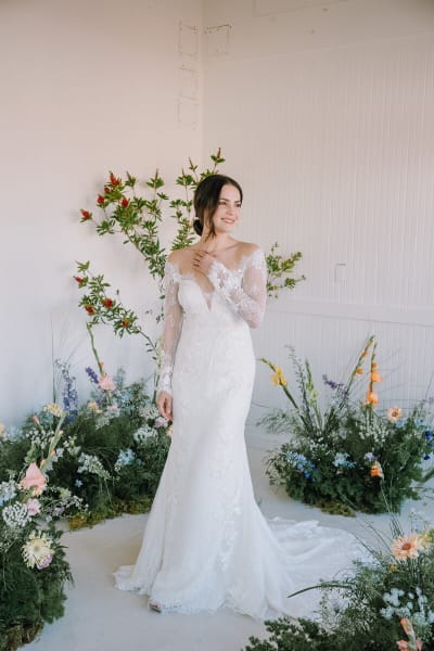The Delphine from the Soleil Collection