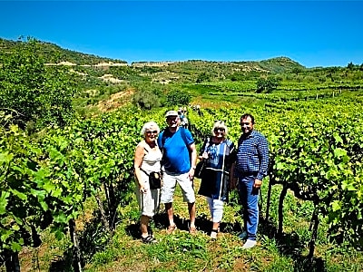 Winetasting tour in Alpeta winery - Roshnik village by 1001 Albanian Adventures