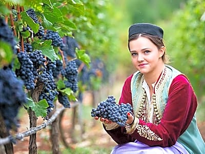 Crmnica Wine Road and Skadar Lake Cruising Tour