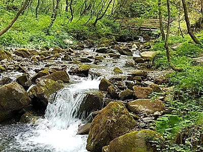 Mavrovo, Duf waterfall and Bigorski Monastery tour from Skopje