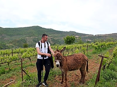 Albanian Highlights - UNESCO sites ,Nature and Food tour