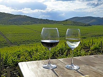 Wine tour Macedonia