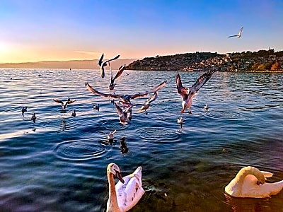 Ohrid and Tirana tour in 2 days (with overnight in Ohrid) from Skopje