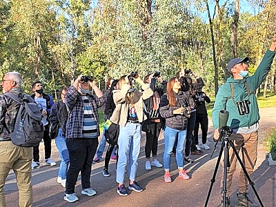 Private Birding Tour in Albania