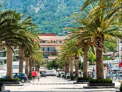 Private Shore Tour in Tivat from Kotor Cruise Port