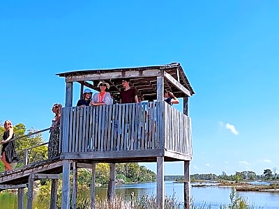 Karavasta Lagoon Adventure: Boat & Wildlife Tour from Durrës