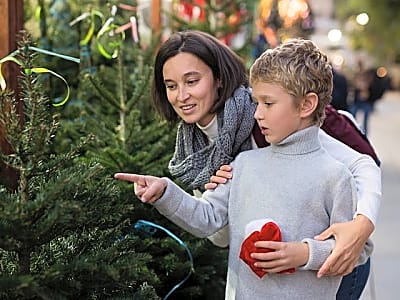 Berat’s Christmas Magic: Private A Festive Walk