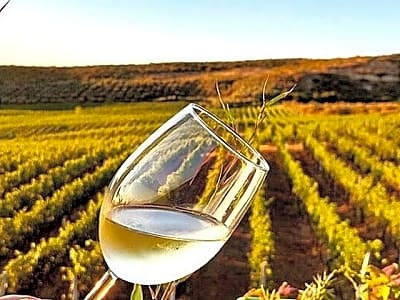 Experience Blue Eye , Lekuresi Castle and Taste Traditional Albanian Wine