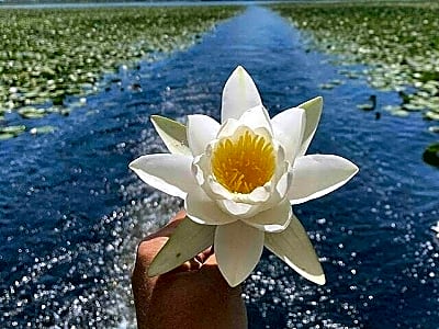 Virpazar Skadar Lake Boat Tour with Wildlife & Nature