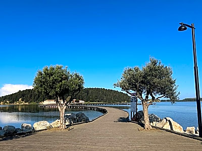From Vlora : Zvernec, Apollonia and Berat Day Trip Experience